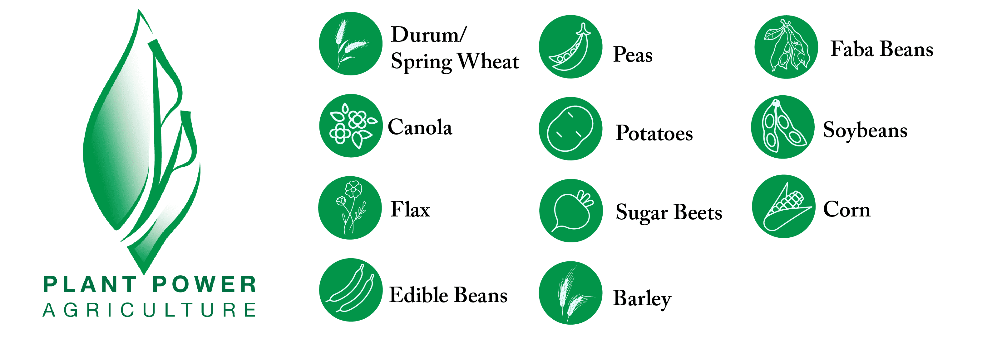 698c924243acd_Artboard 12