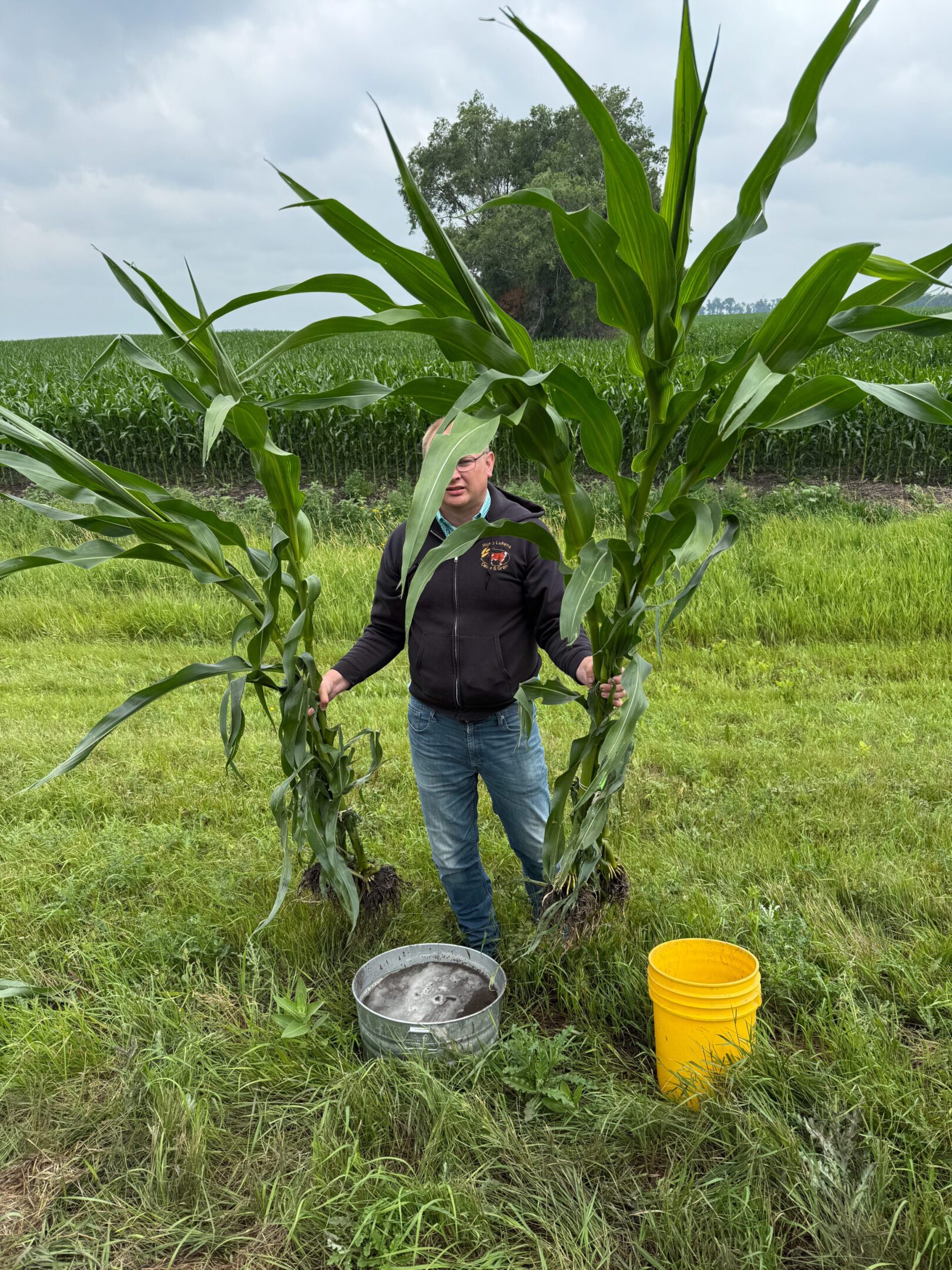 698c912a1e743_CornRobbie (1)